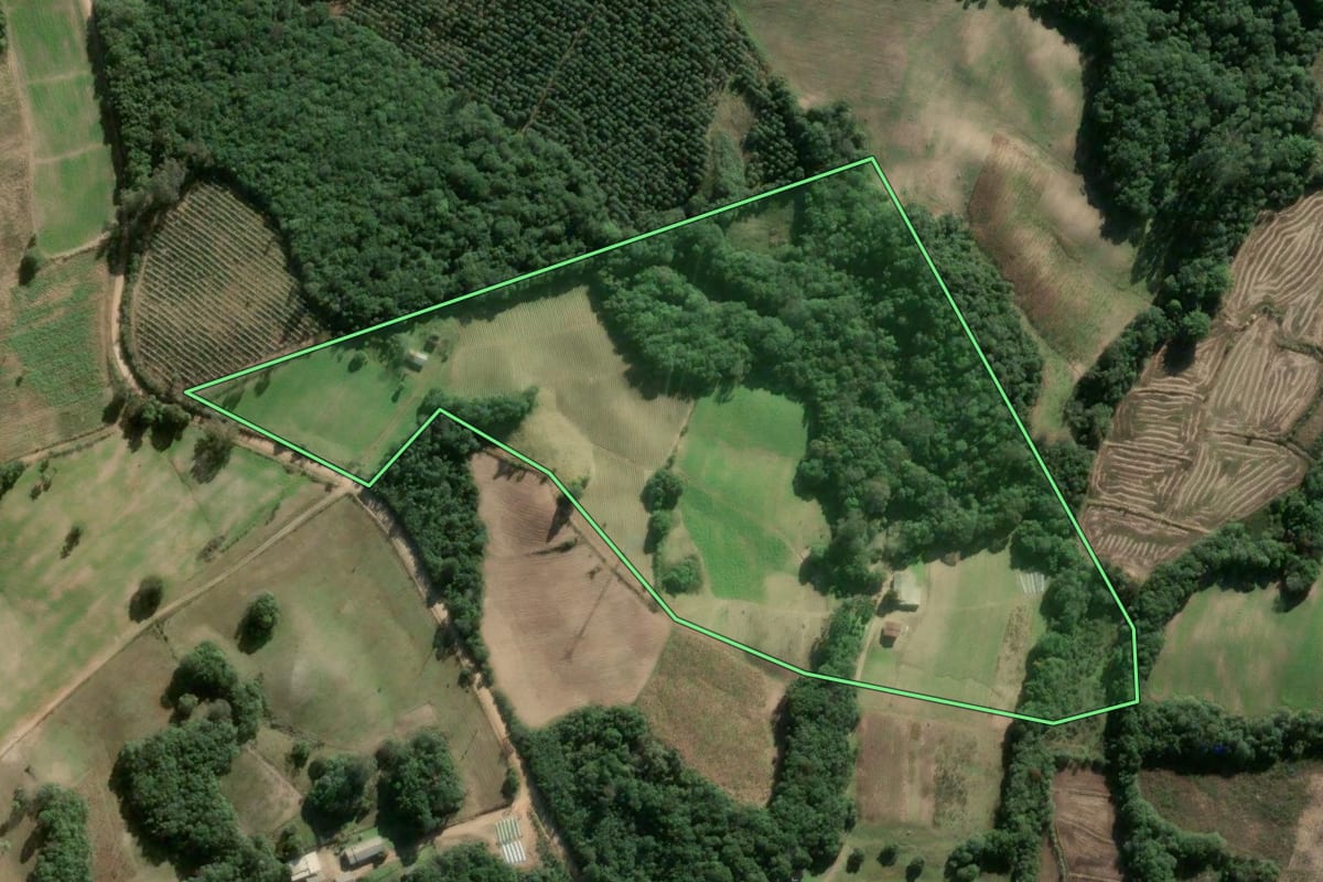 Imagem de satélite do imóvel rural em Cerro Grande do Sul (RS), com o contorno declarado no CAR desenhado por cima.