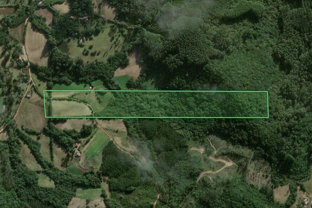 Imagem de satélite do imóvel rural em Cerro Grande do Sul (RS), com o contorno declarado no CAR desenhado por cima.