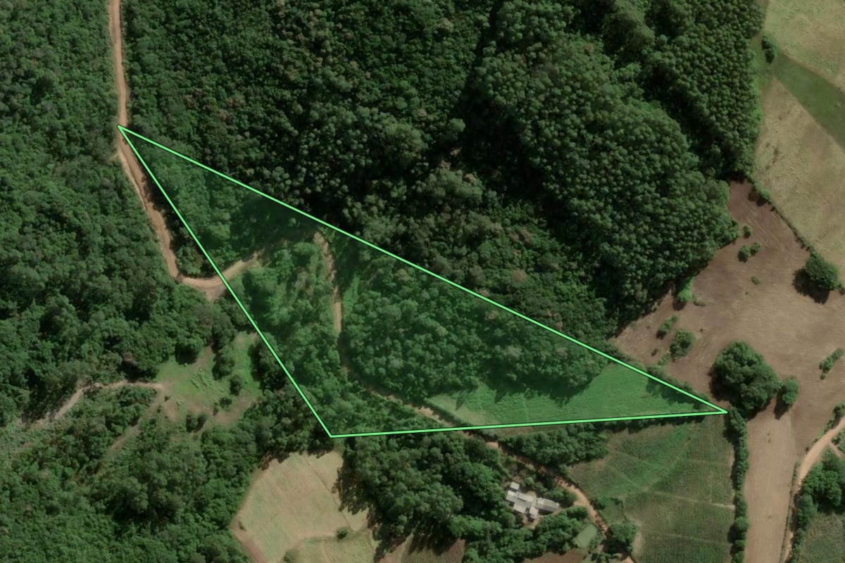 Imagem de satélite do imóvel rural em Cerro Grande do Sul (RS), com o contorno declarado no CAR desenhado por cima.