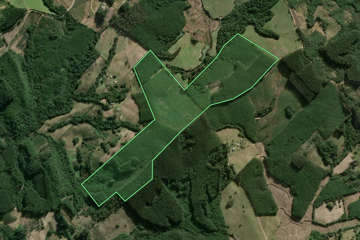 Imagem de satélite do imóvel rural em Cerro Grande do Sul (RS), com o contorno declarado no CAR desenhado por cima.