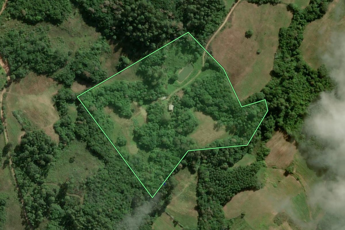 Imagem de satélite do imóvel rural em Cerro Grande do Sul (RS), com o contorno declarado no CAR desenhado por cima.