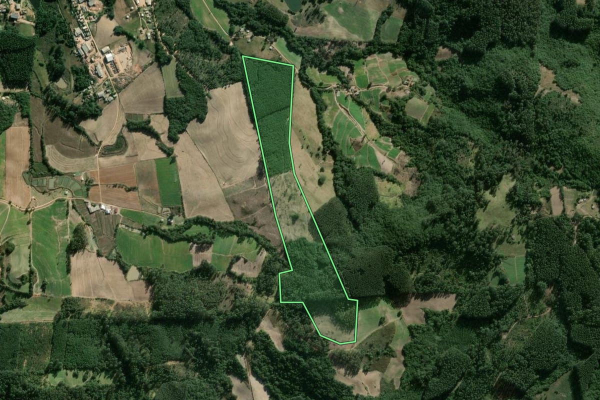 Imagem de satélite do imóvel rural em Cerro Grande do Sul (RS), com o contorno declarado no CAR desenhado por cima.