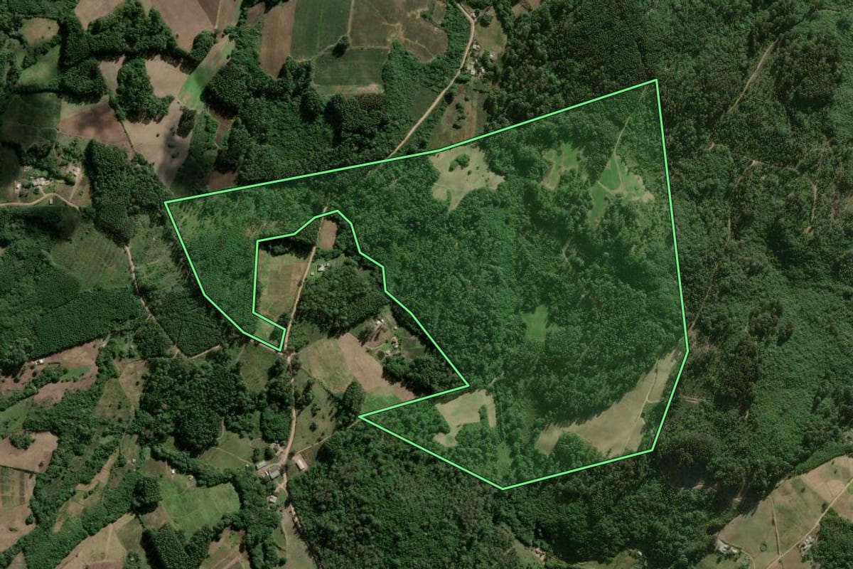 Imagem de satélite do imóvel rural em Cerro Grande do Sul (RS), com o contorno declarado no CAR desenhado por cima.