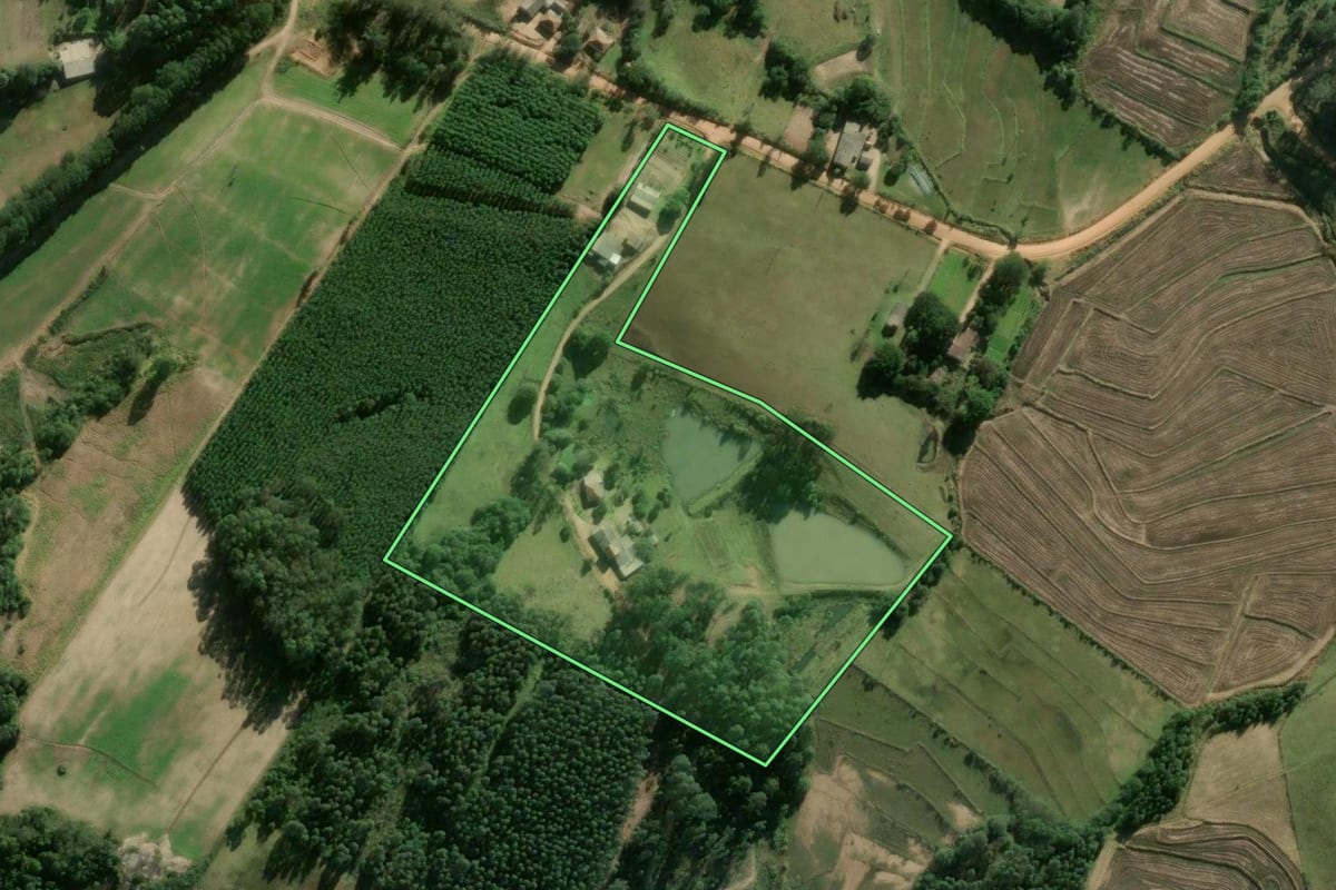 Imagem de satélite do imóvel rural em Cerro Grande do Sul (RS), com o contorno declarado no CAR desenhado por cima.