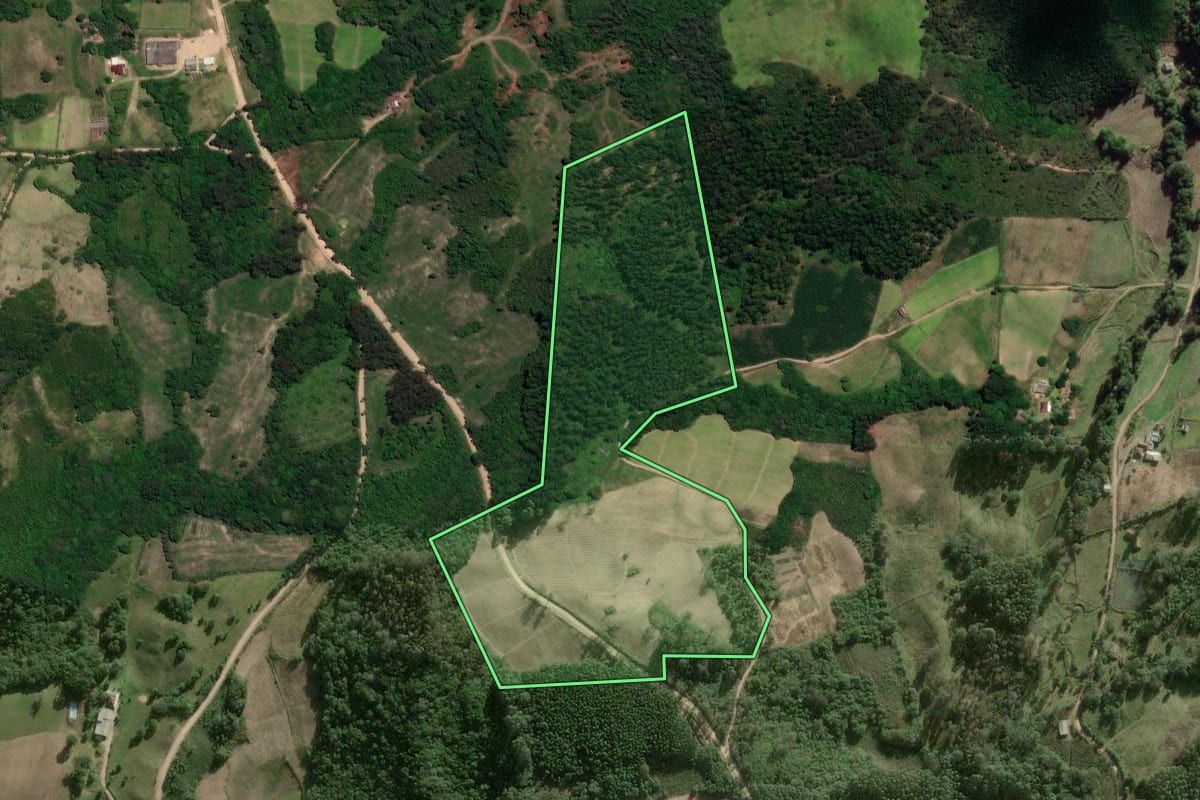 Imagem de satélite do imóvel rural em Cerro Grande do Sul (RS), com o contorno declarado no CAR desenhado por cima.