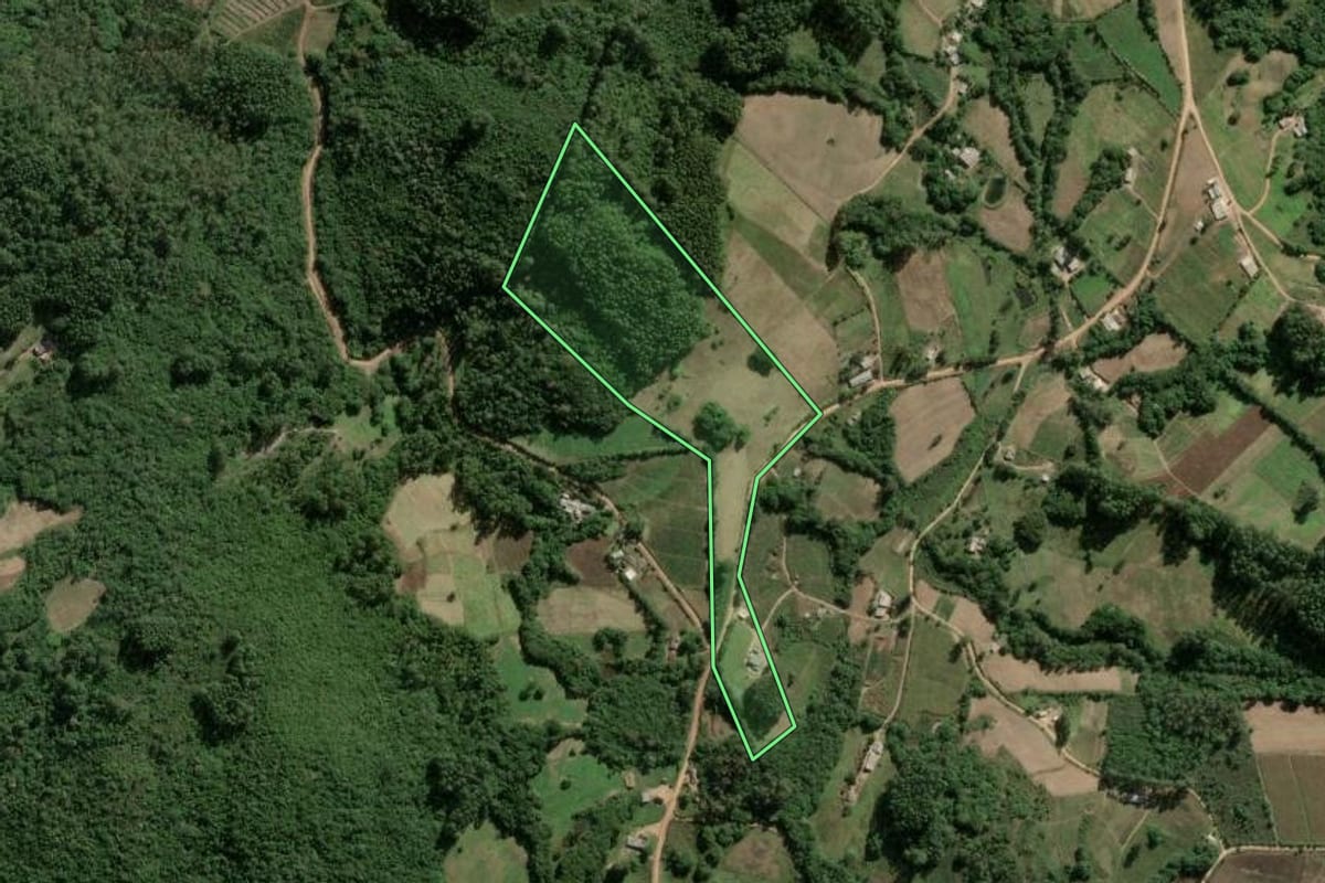 Imagem de satélite do imóvel rural em Cerro Grande do Sul (RS), com o contorno declarado no CAR desenhado por cima.