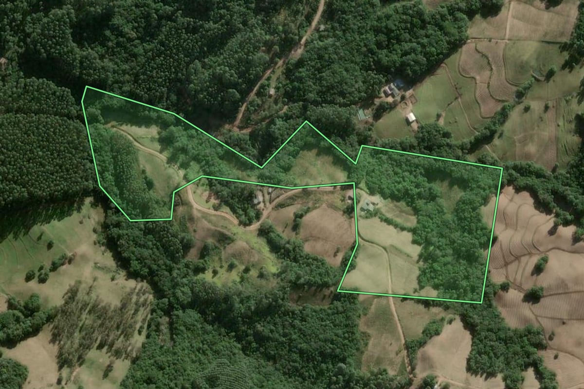 Imagem de satélite do imóvel rural em Cerro Grande do Sul (RS), com o contorno declarado no CAR desenhado por cima.
