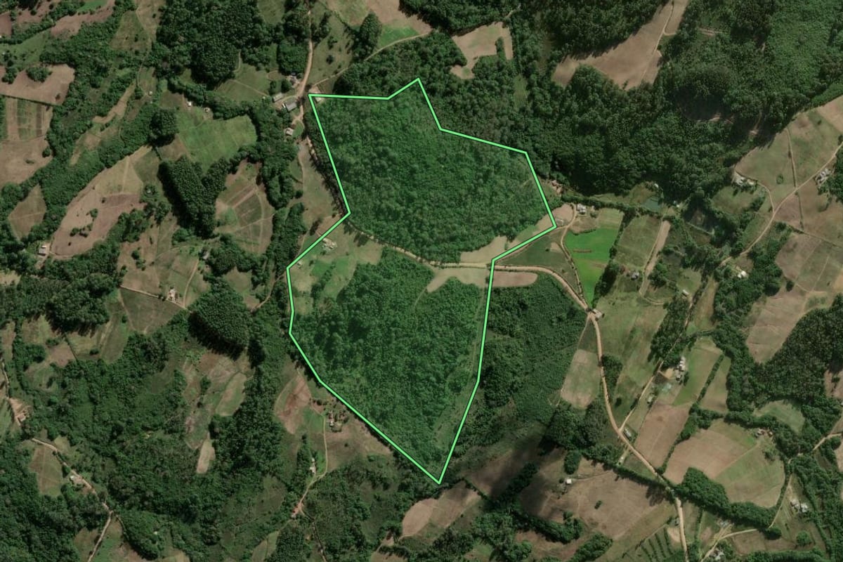Imagem de satélite do imóvel rural em Cerro Grande do Sul (RS), com o contorno declarado no CAR desenhado por cima.
