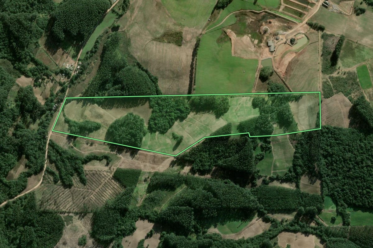 Imagem de satélite do imóvel rural em Cerro Grande do Sul (RS), com o contorno declarado no CAR desenhado por cima.