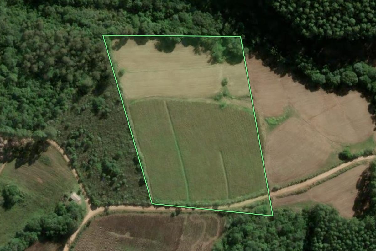 Imagem de satélite do imóvel rural em Cerro Grande do Sul (RS), com o contorno declarado no CAR desenhado por cima.
