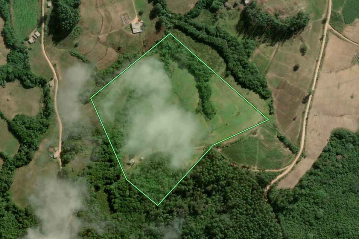 Imagem de satélite do imóvel rural em Cerro Grande do Sul (RS), com o contorno declarado no CAR desenhado por cima.