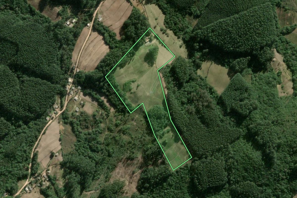 Imagem de satélite do imóvel rural em Cerro Grande do Sul (RS), com o contorno declarado no CAR desenhado por cima.