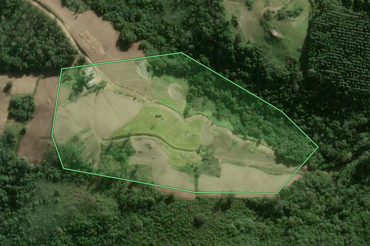Imagem de satélite do imóvel rural em Cerro Grande do Sul (RS), com o contorno declarado no CAR desenhado por cima.