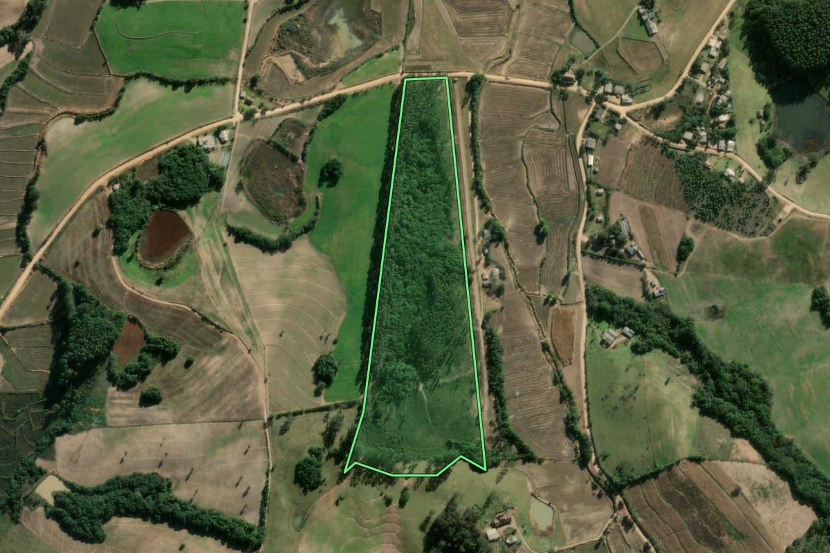 Imagem de satélite do imóvel rural em Cerro Grande do Sul (RS), com o contorno declarado no CAR desenhado por cima.