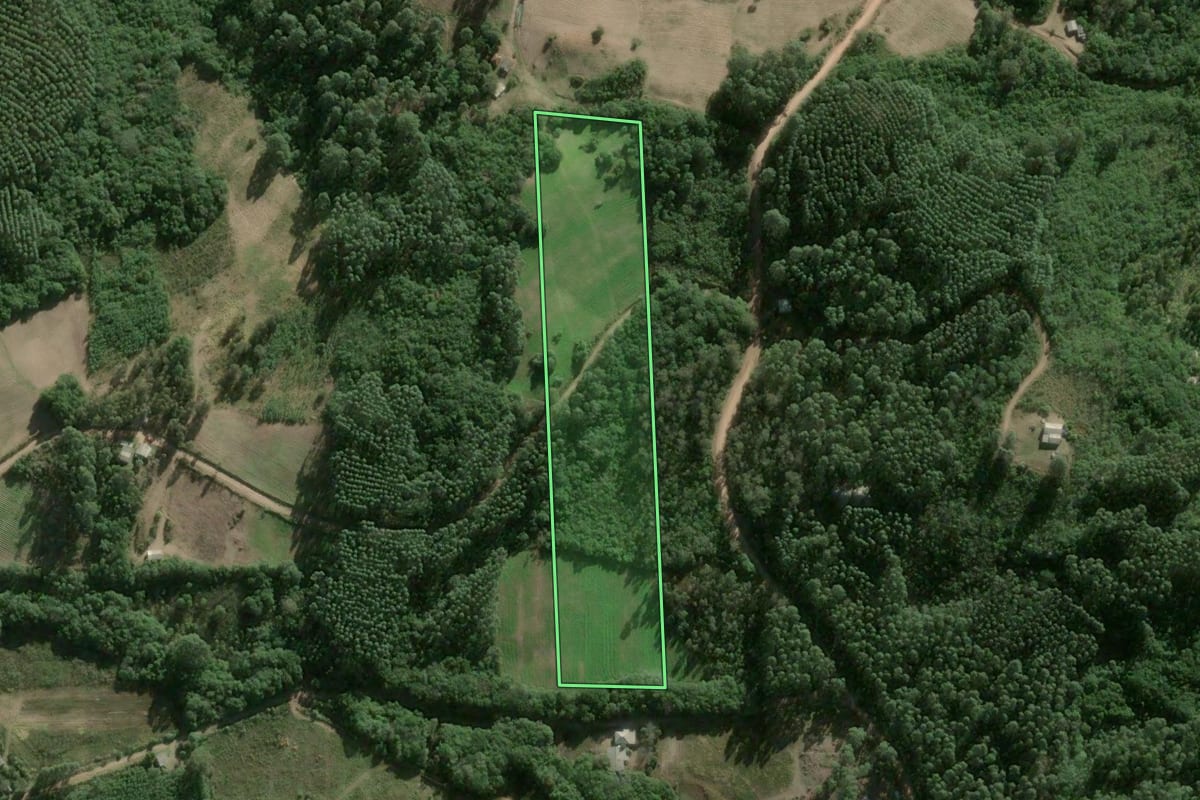 Imagem de satélite do imóvel rural em Cerro Grande do Sul (RS), com o contorno declarado no CAR desenhado por cima.