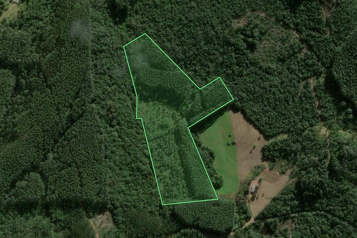 Imagem de satélite do imóvel rural em Cerro Grande do Sul (RS), com o contorno declarado no CAR desenhado por cima.