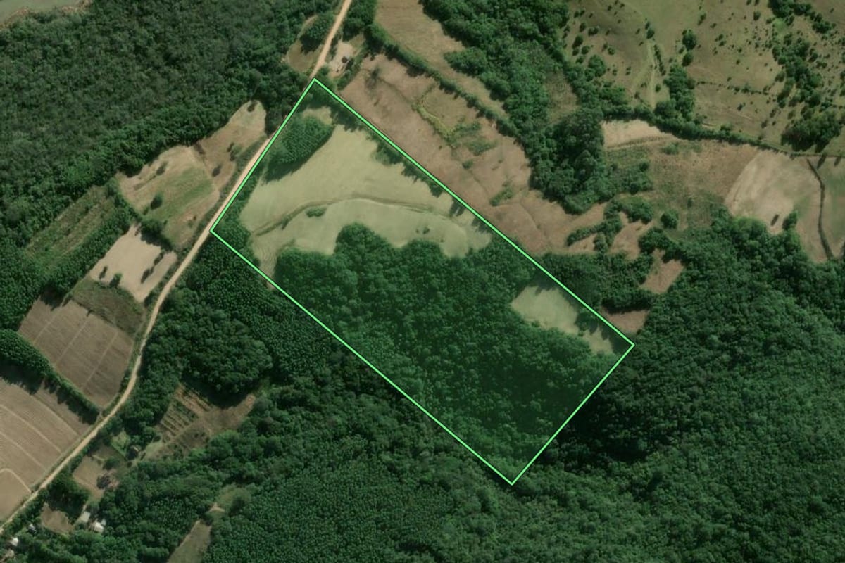Imagem de satélite do imóvel rural em Cerro Grande do Sul (RS), com o contorno declarado no CAR desenhado por cima.
