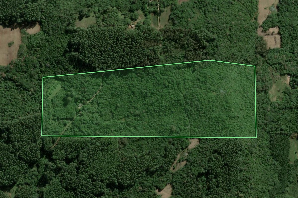 Imagem de satélite do imóvel rural em Cerro Grande do Sul (RS), com o contorno declarado no CAR desenhado por cima.