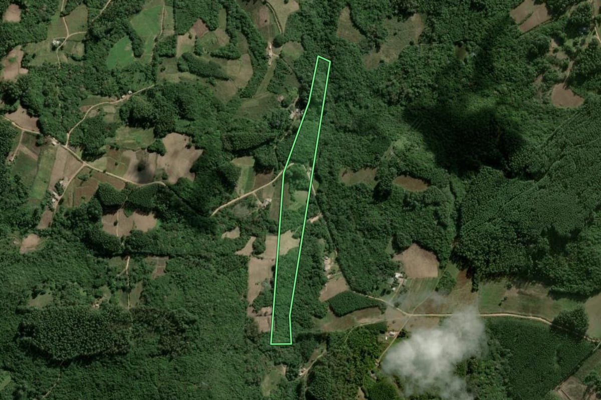Imagem de satélite do imóvel rural em Cerro Grande do Sul (RS), com o contorno declarado no CAR desenhado por cima.