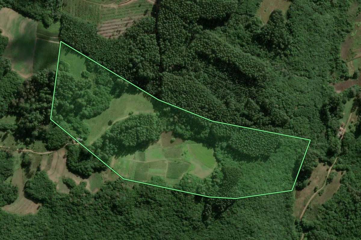 Imagem de satélite do imóvel rural em Cerro Grande do Sul (RS), com o contorno declarado no CAR desenhado por cima.