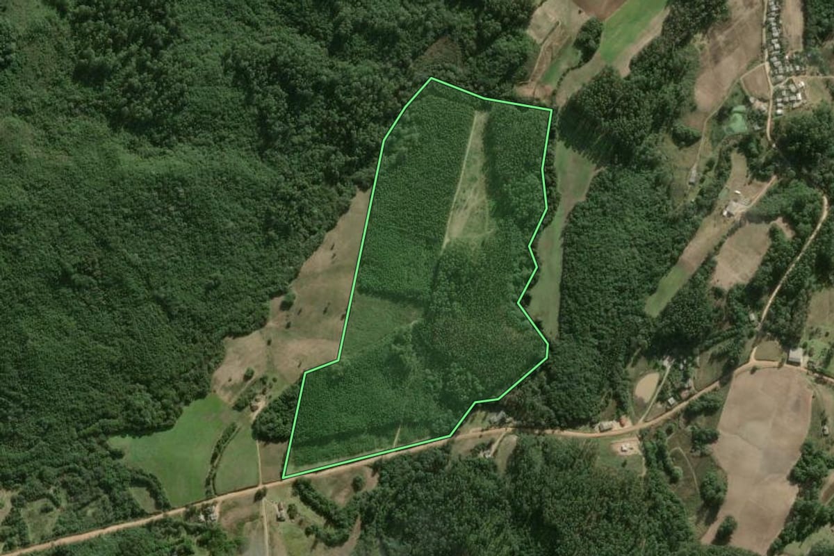 Imagem de satélite do imóvel rural em Cerro Grande do Sul (RS), com o contorno declarado no CAR desenhado por cima.