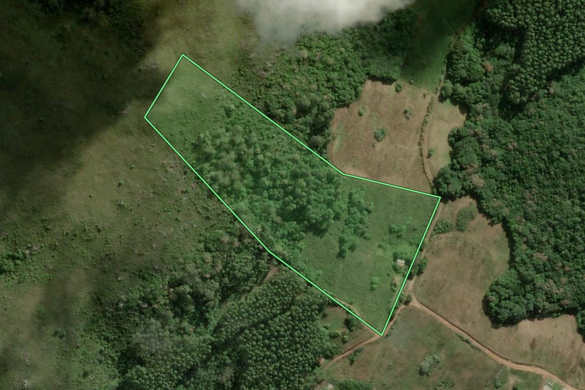 Imagem de satélite do imóvel rural em Cerro Grande do Sul (RS), com o contorno declarado no CAR desenhado por cima.