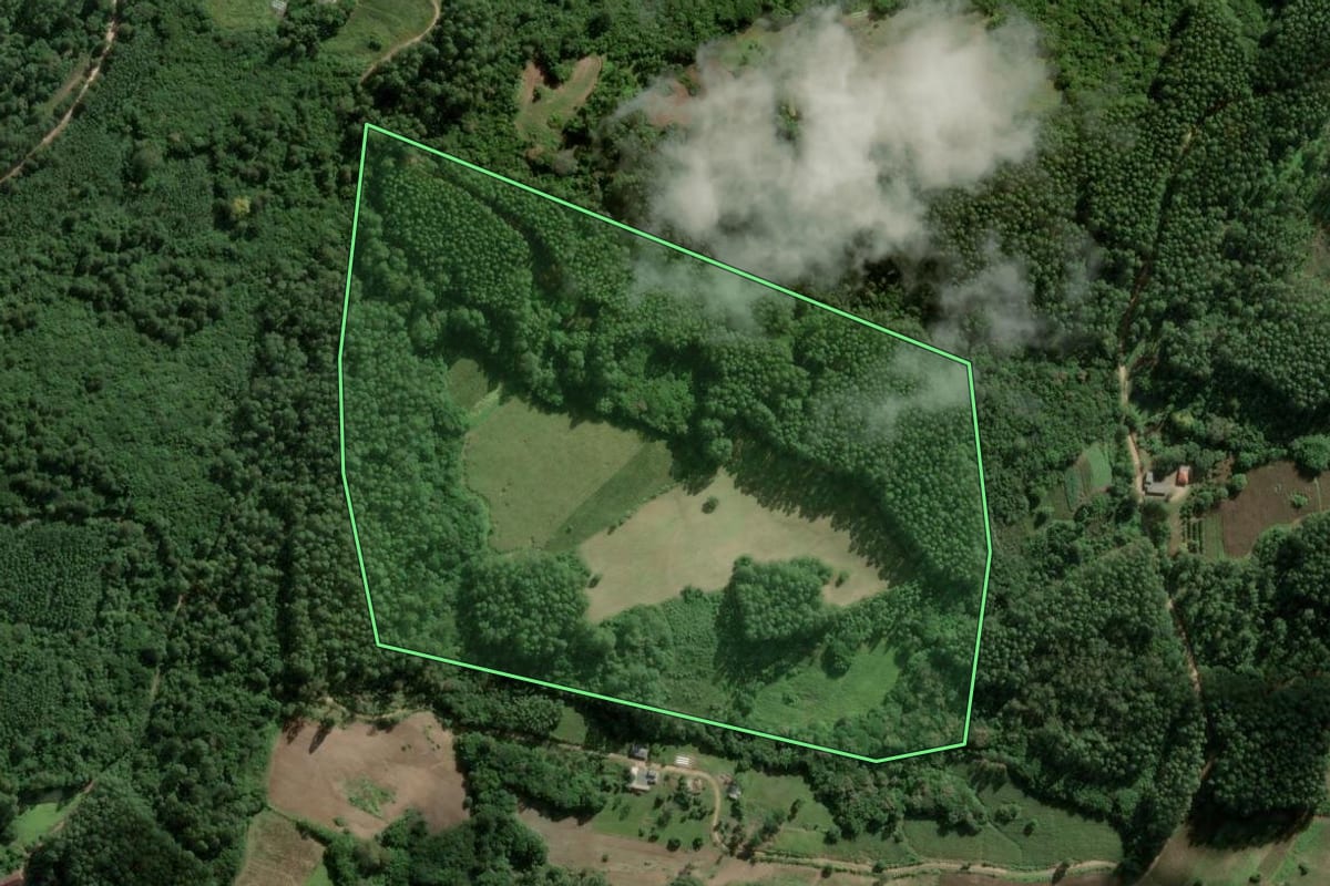 Imagem de satélite do imóvel rural em Cerro Grande do Sul (RS), com o contorno declarado no CAR desenhado por cima.