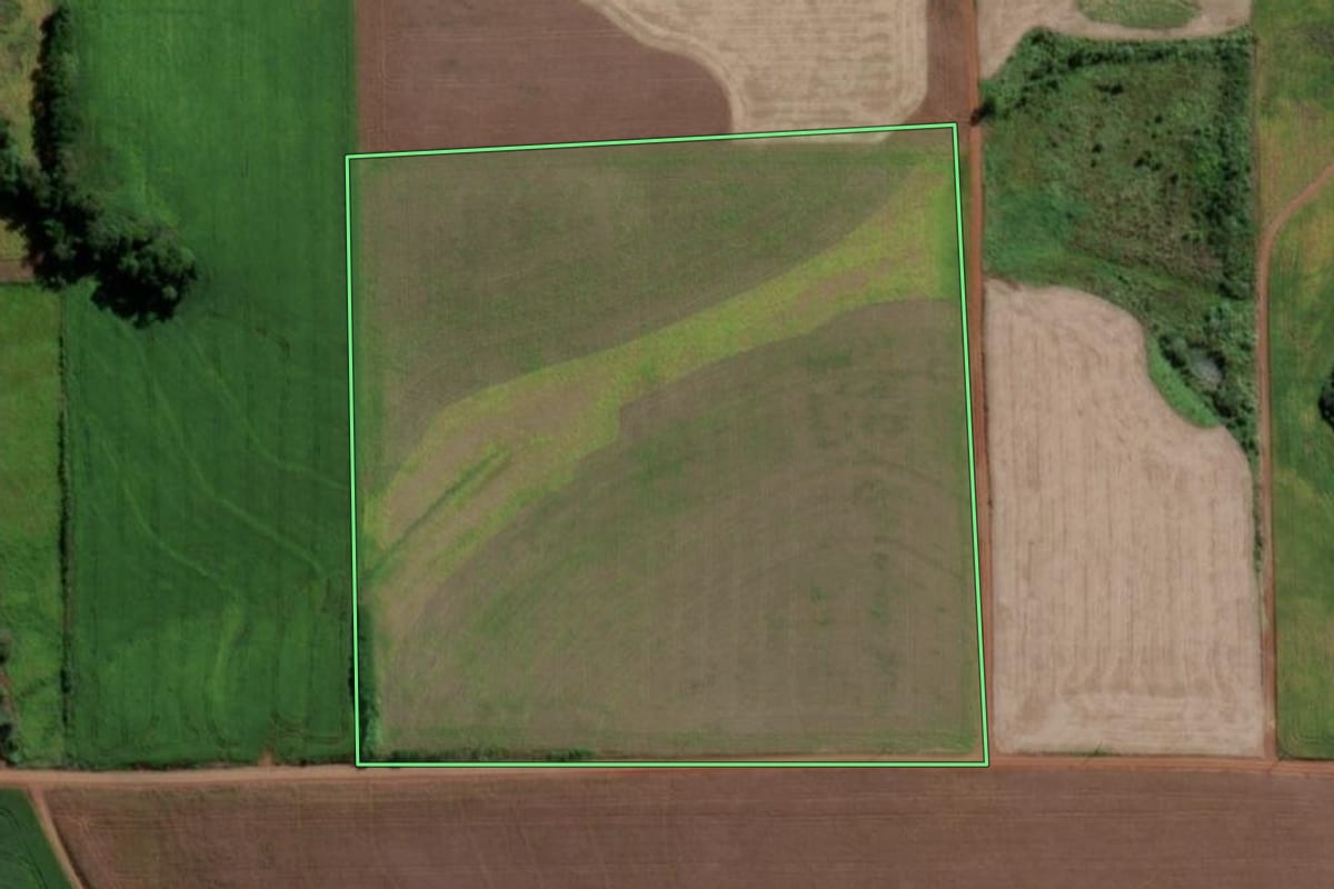 Imagem de satélite do imóvel rural em Cerro Largo (RS), com o contorno declarado no CAR desenhado por cima.