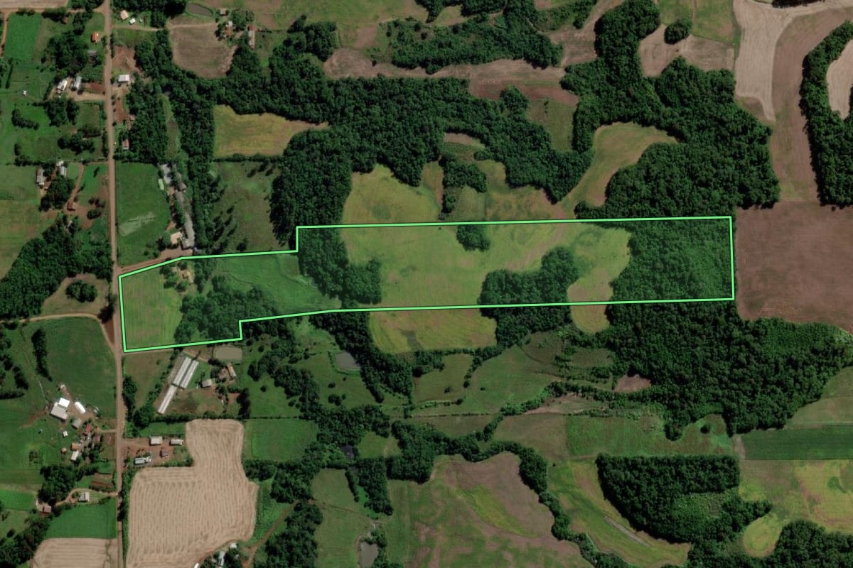 Imagem de satélite do imóvel rural em Cerro Largo (RS), com o contorno declarado no CAR desenhado por cima.