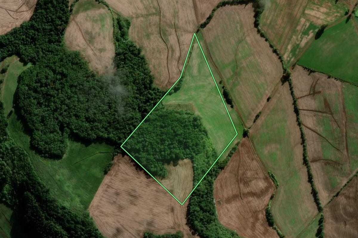 Imagem de satélite do imóvel rural em Chapada (RS), com o contorno declarado no CAR desenhado por cima.