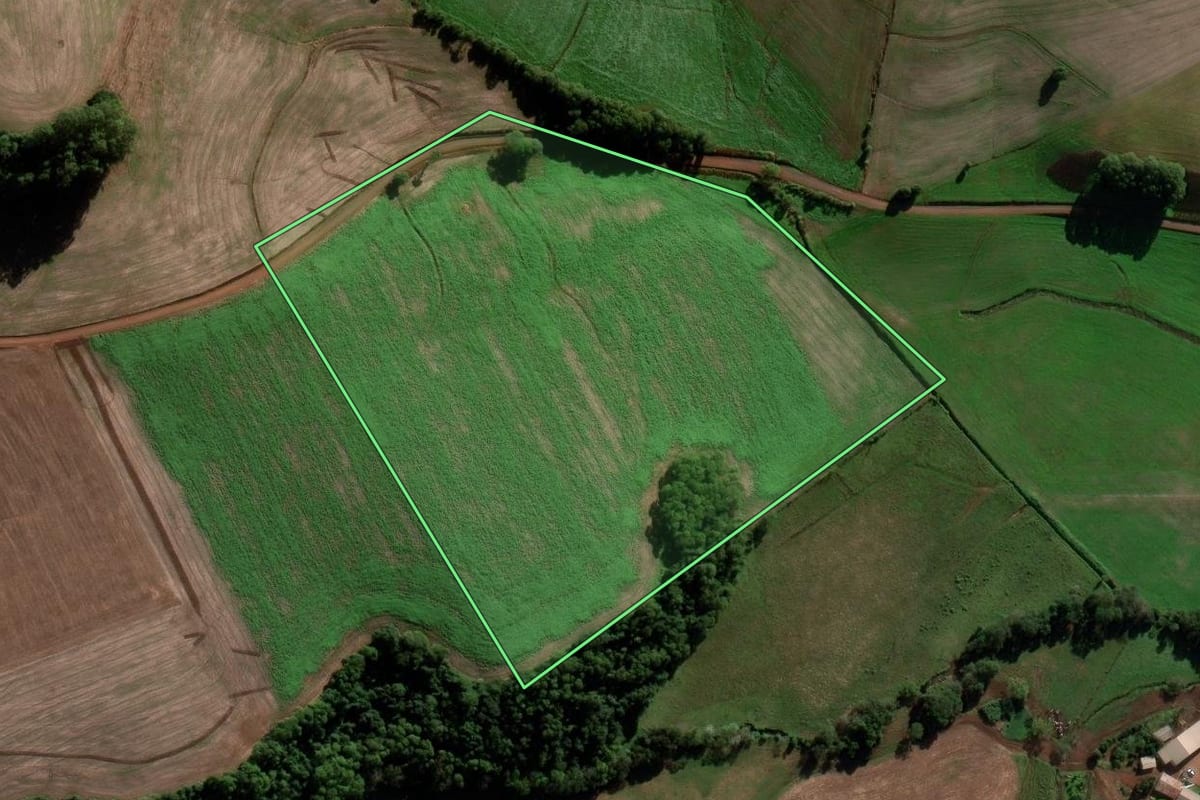 Imagem de satélite do imóvel rural em Chapada (RS), com o contorno declarado no CAR desenhado por cima.