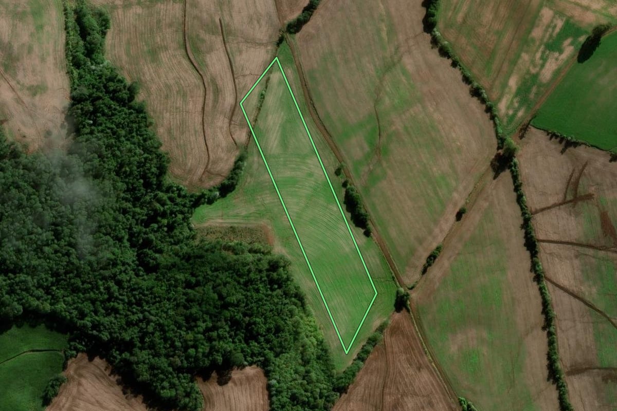 Imagem de satélite do imóvel rural em Chapada (RS), com o contorno declarado no CAR desenhado por cima.