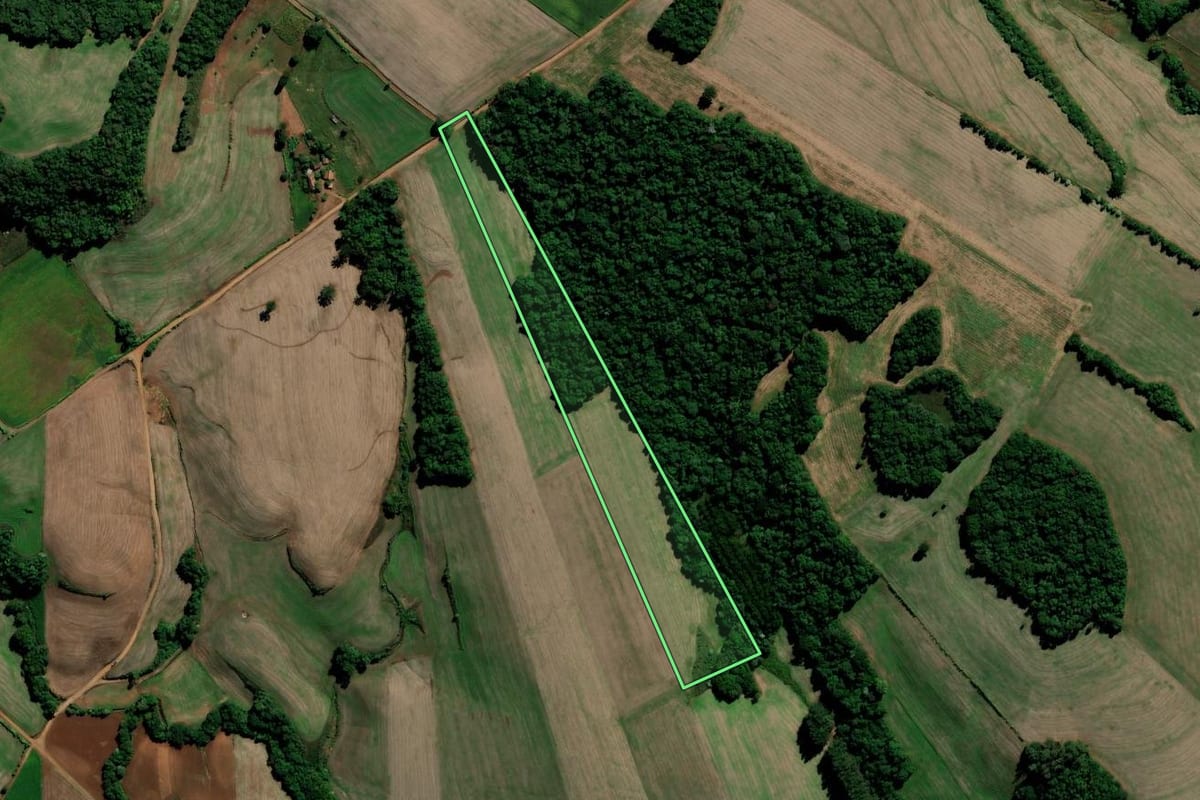 Imagem de satélite do imóvel rural em Chapada (RS), com o contorno declarado no CAR desenhado por cima.