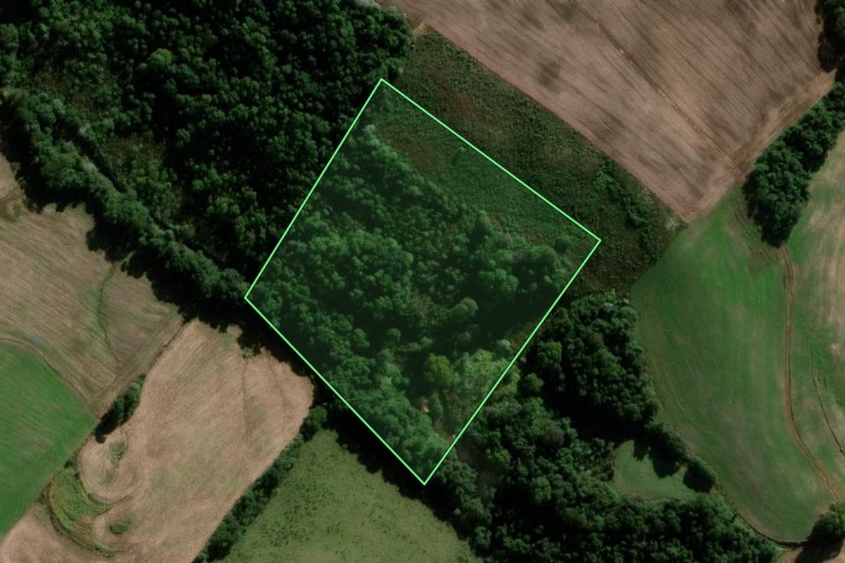 Imagem de satélite do imóvel rural em Chapada (RS), com o contorno declarado no CAR desenhado por cima.