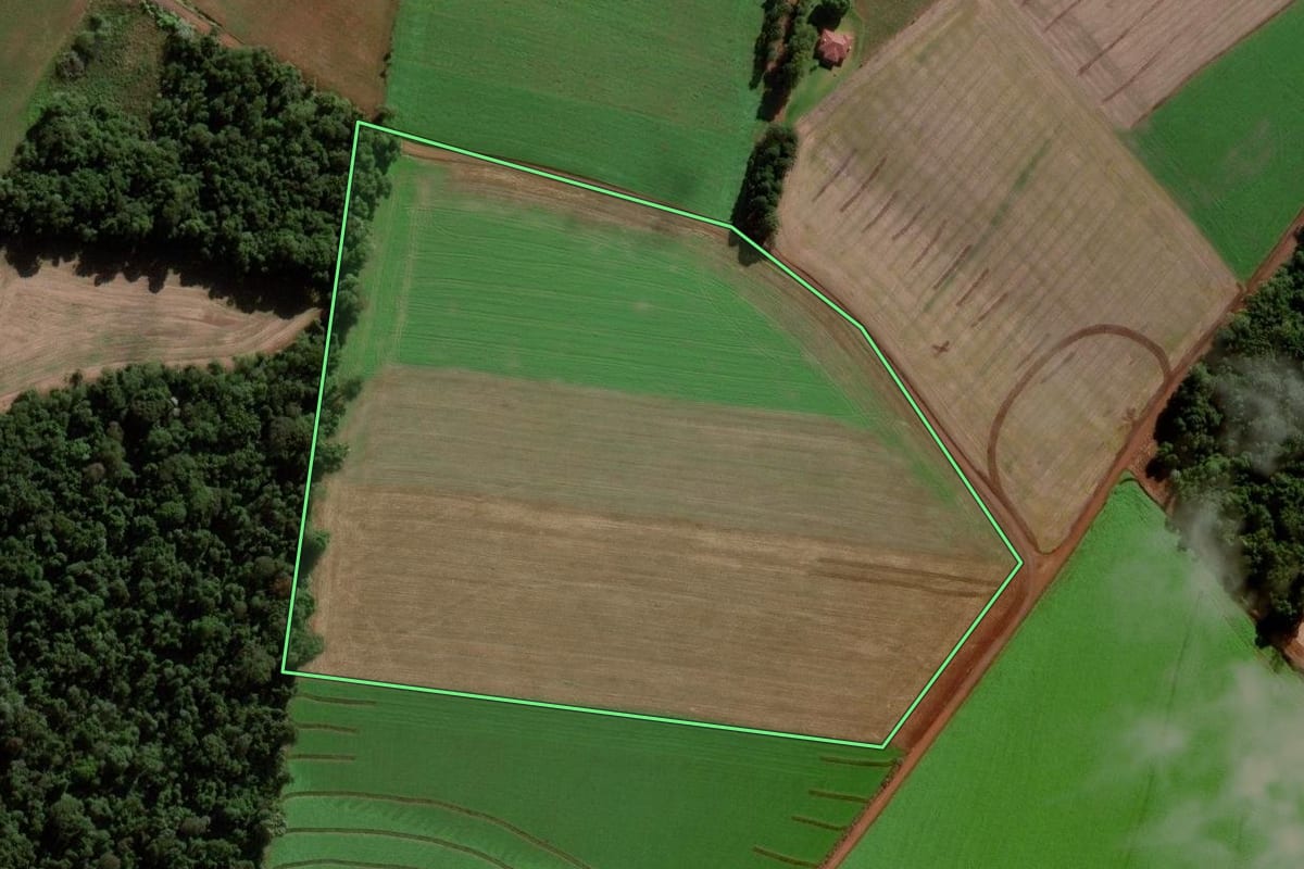 Imagem de satélite do imóvel rural em Chapada (RS), com o contorno declarado no CAR desenhado por cima.
