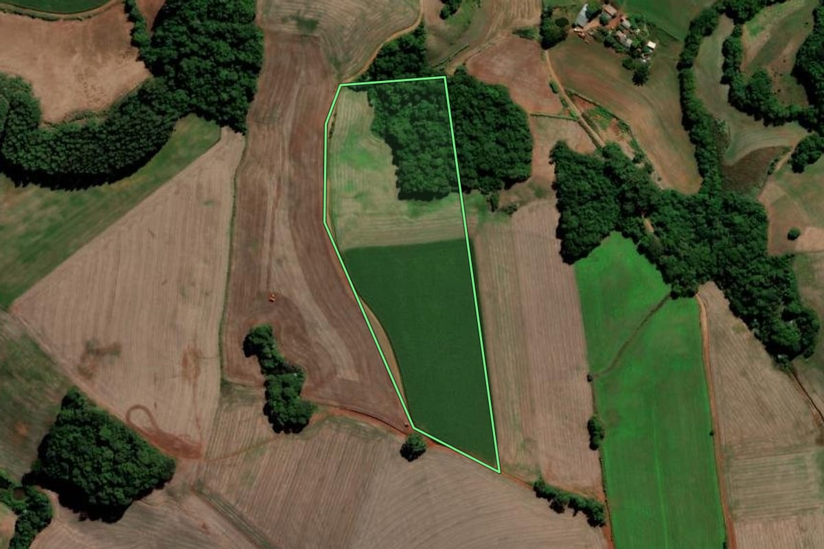Imagem de satélite do imóvel rural em Chapada (RS), com o contorno declarado no CAR desenhado por cima.