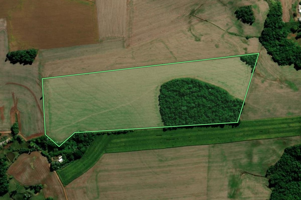 Imagem de satélite do imóvel rural em Chapada (RS), com o contorno declarado no CAR desenhado por cima.