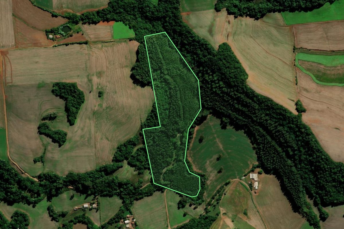 Imagem de satélite do imóvel rural em Chapada (RS), com o contorno declarado no CAR desenhado por cima.