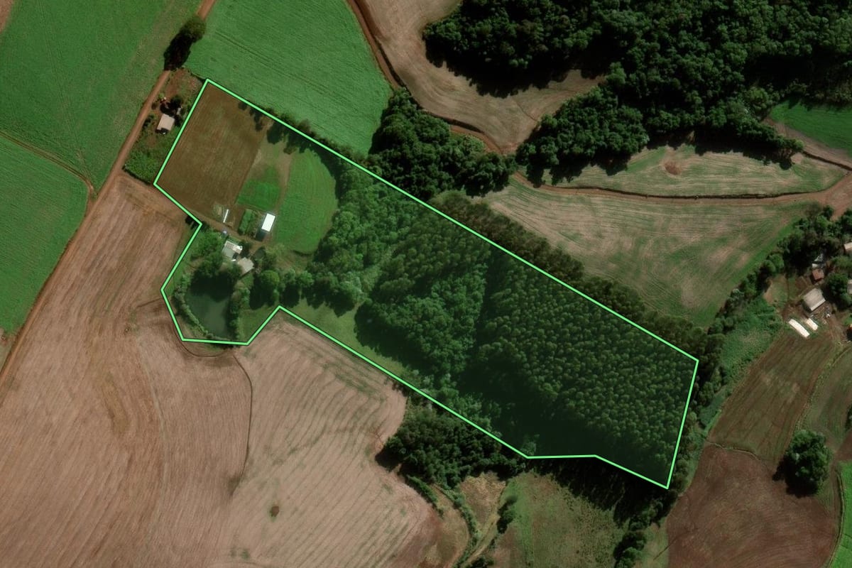 Imagem de satélite do imóvel rural em Chapada (RS), com o contorno declarado no CAR desenhado por cima.