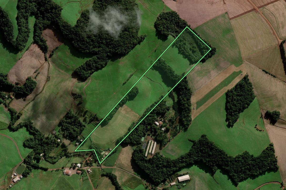 Imagem de satélite do imóvel rural em Chapada (RS), com o contorno declarado no CAR desenhado por cima.