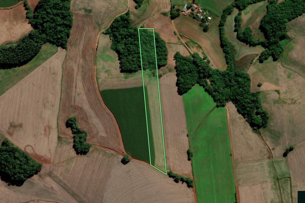 Imagem de satélite do imóvel rural em Chapada (RS), com o contorno declarado no CAR desenhado por cima.
