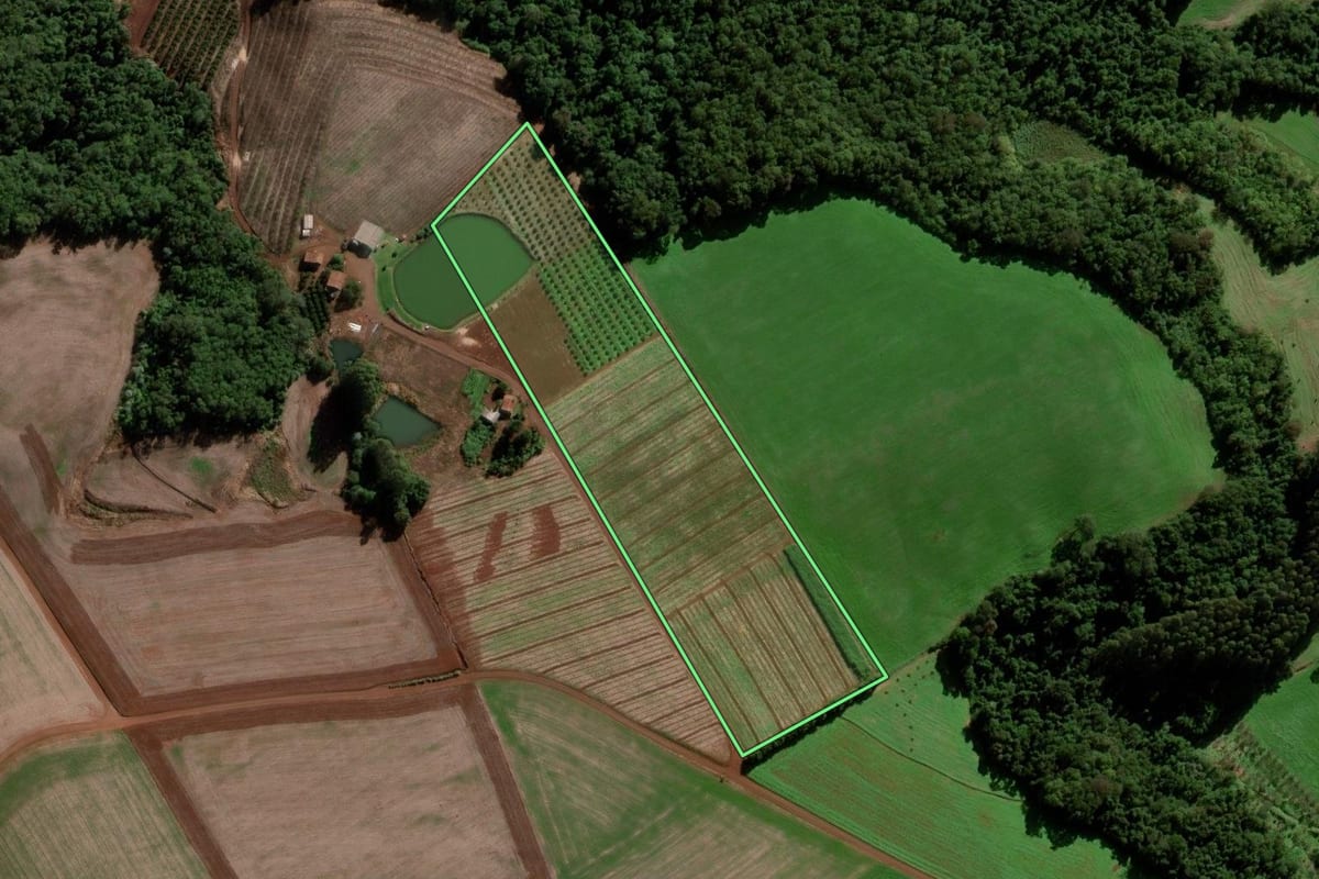 Imagem de satélite do imóvel rural em Chapada (RS), com o contorno declarado no CAR desenhado por cima.
