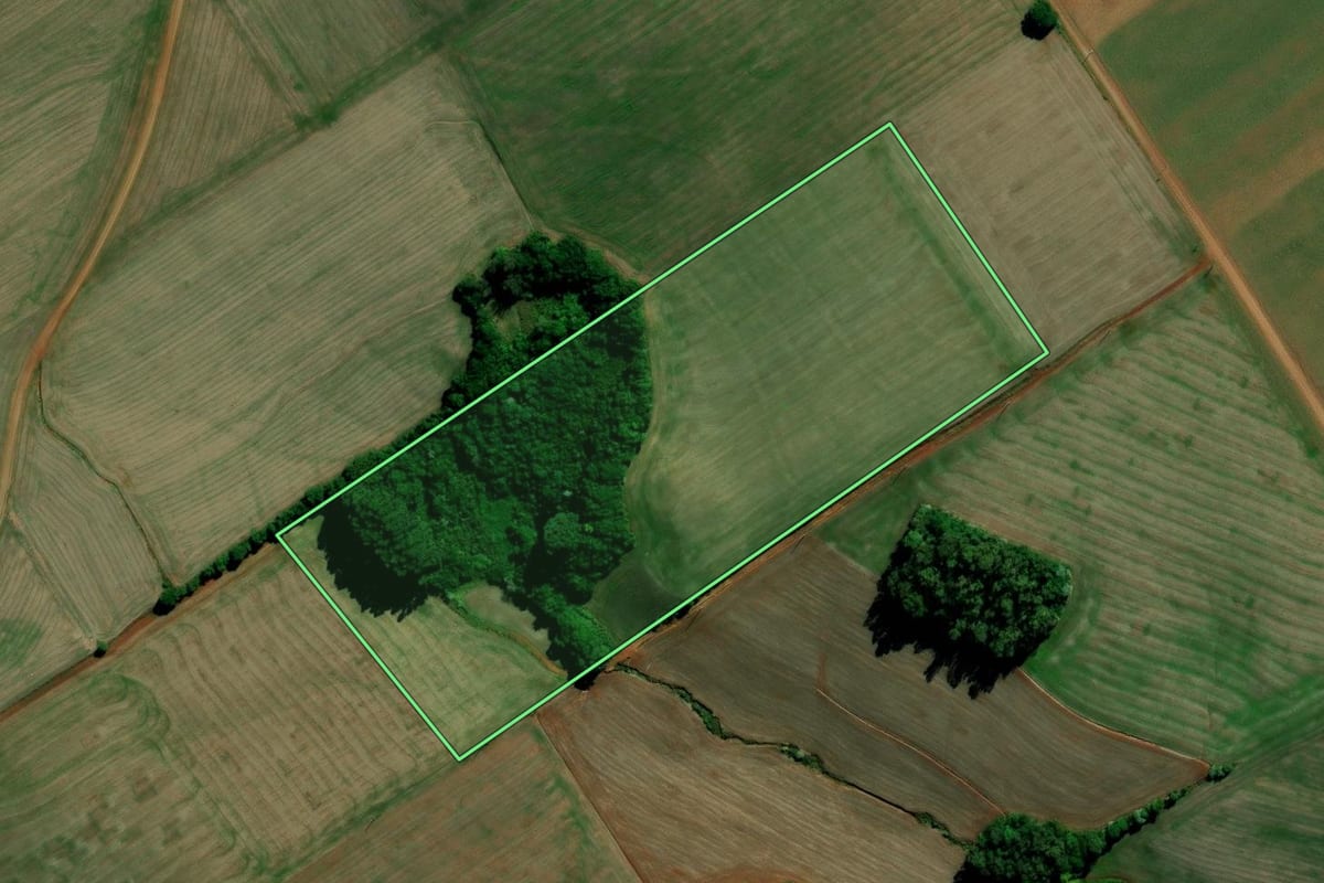 Imagem de satélite do imóvel rural em Chapada (RS), com o contorno declarado no CAR desenhado por cima.