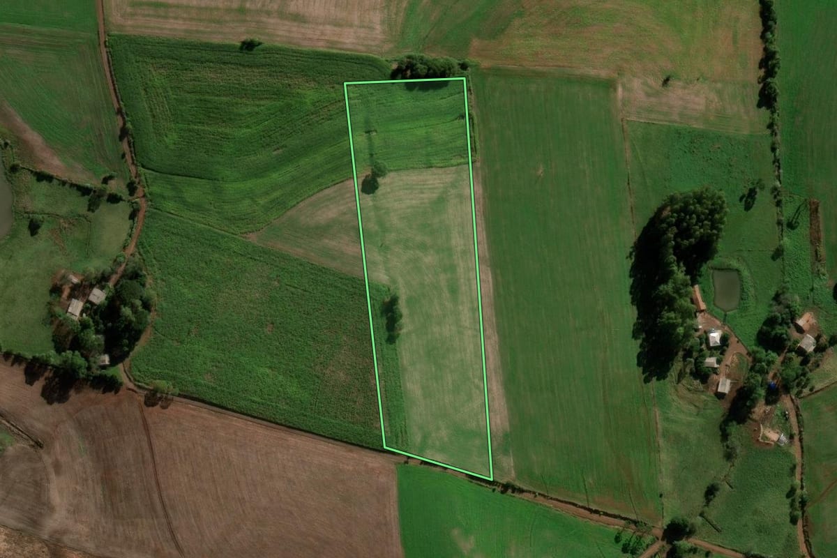 Imagem de satélite do imóvel rural em Chapada (RS), com o contorno declarado no CAR desenhado por cima.