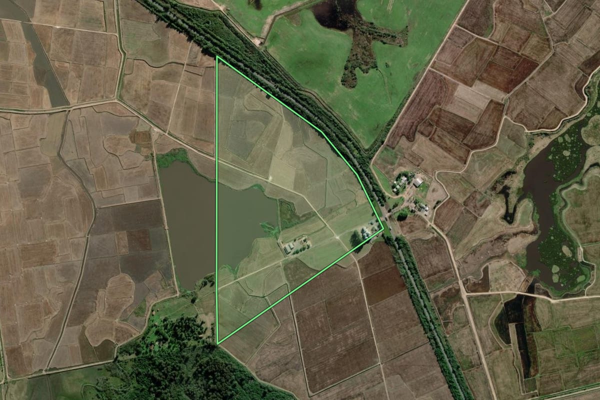 Imagem de satélite do imóvel rural em Charqueadas (RS), com o contorno declarado no CAR desenhado por cima.