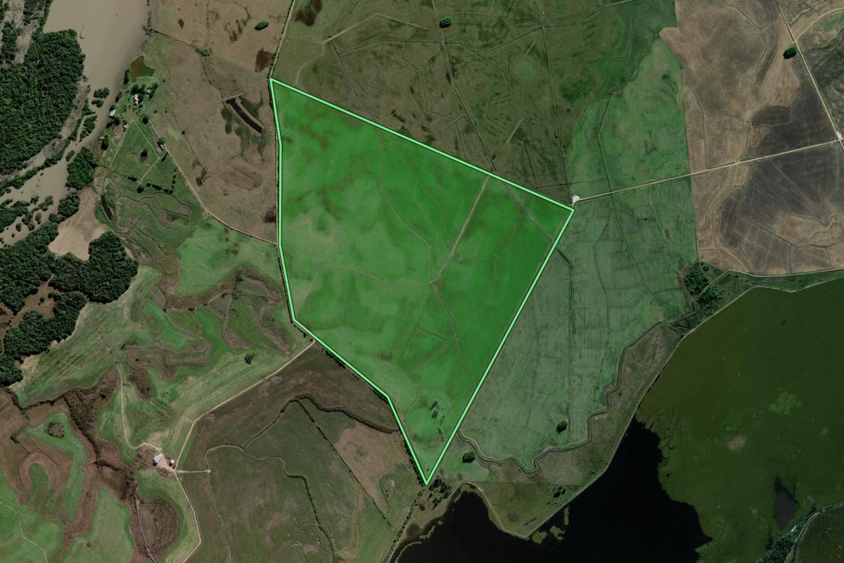 Imagem de satélite do imóvel rural em Charqueadas (RS), com o contorno declarado no CAR desenhado por cima.