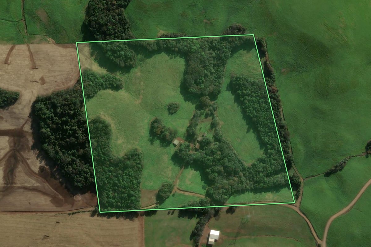 Imagem de satélite do imóvel rural em Charrua (RS), com o contorno declarado no CAR desenhado por cima.