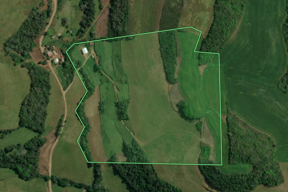 Imagem de satélite do imóvel rural em Charrua (RS), com o contorno declarado no CAR desenhado por cima.