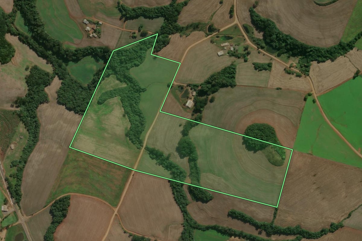 Imagem de satélite do imóvel rural em Charrua (RS), com o contorno declarado no CAR desenhado por cima.