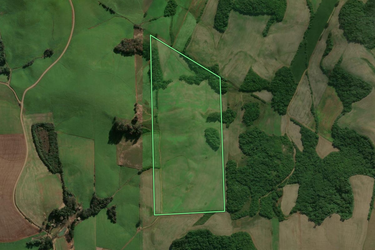 Imagem de satélite do imóvel rural em Charrua (RS), com o contorno declarado no CAR desenhado por cima.